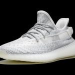 Adidas yeezy boost 350 v2 wmns