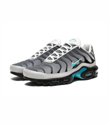 Nike air max plus reverse