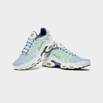 Nike air max plus wave grid