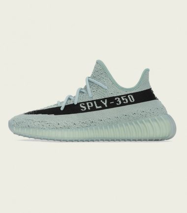 Adidas yeezy boost 350 v2 salt